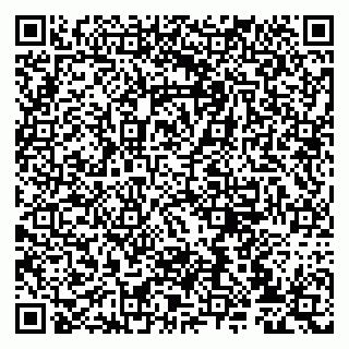 vCard 79807235312