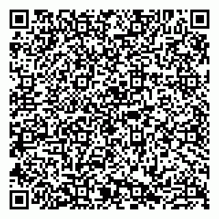 vCard 79807235329