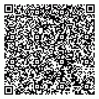 vCard 79807235331