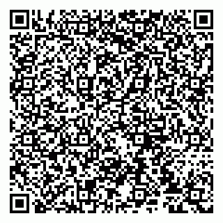 vCard 79807235381