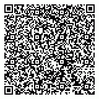 vCard 79807235387