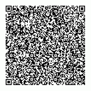 vCard 79807235903