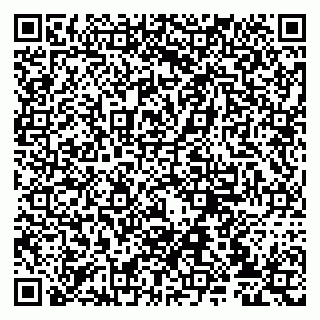 vCard 79807237288
