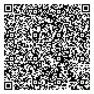 vCard 79807237313