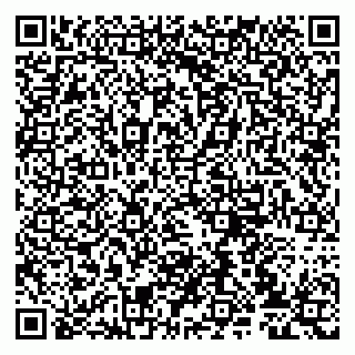 vCard 79807237379