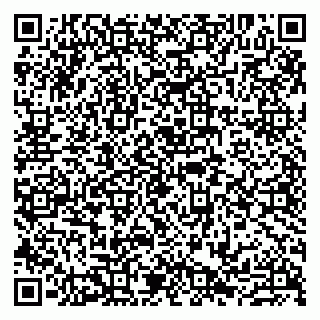 vCard 79807238163
