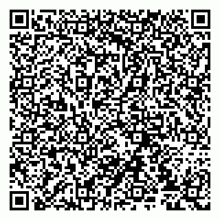 vCard 79807239047