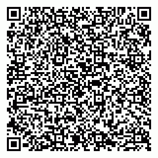 vCard 79807239204