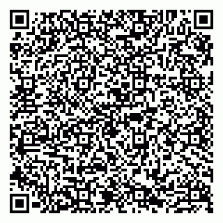 vCard 79807239229