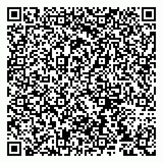 vCard 79807239371