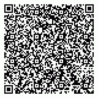 vCard 79807239503