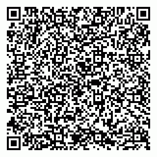 vCard 79807239508