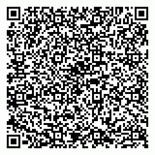 vCard 79807239521