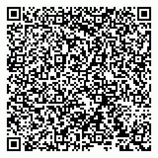 vCard 79807239523