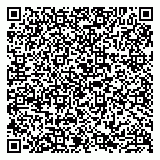 vCard 79807239524