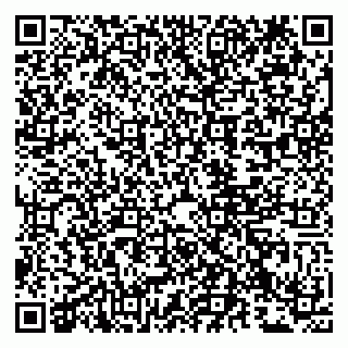 vCard 79807239532