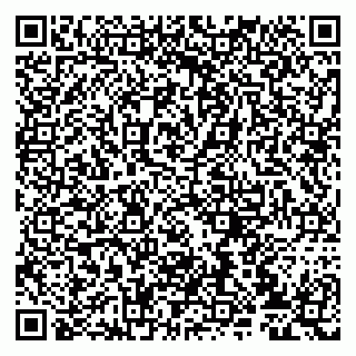 vCard 79807239587