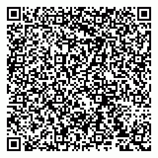 vCard 79807239623