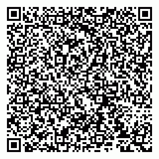 vCard 79807239633