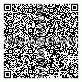 vCard 79807240013