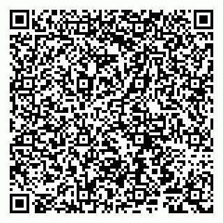 vCard 79807240029