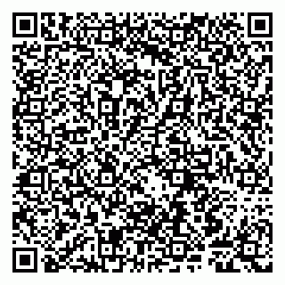 vCard 79807240033