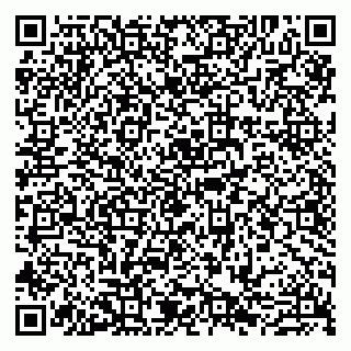 vCard 79807240035