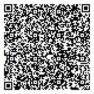 vCard 79807240038