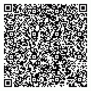 vCard 79807240040