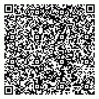 vCard 79807240048