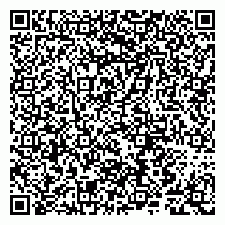vCard 79807240068