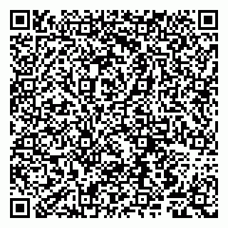 vCard 79807240070
