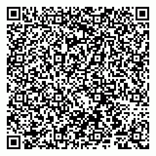 vCard 79807240077