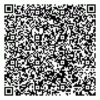 vCard 79807240085