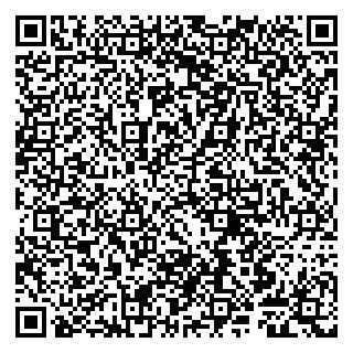vCard 79807240087