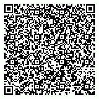vCard 79807240093