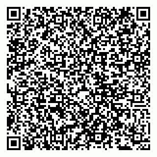 vCard 79807240096