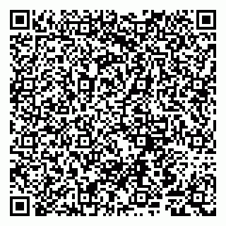 vCard 79807240132