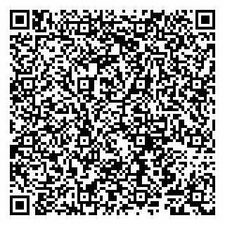 vCard 79807240173
