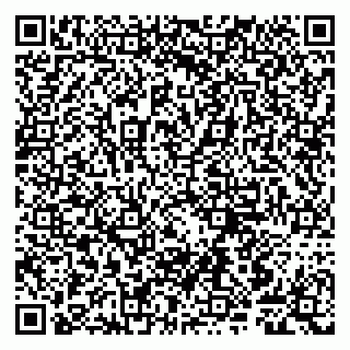 vCard 79807240211