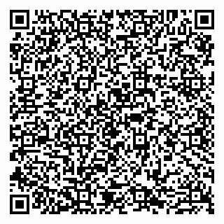 vCard 79807240275