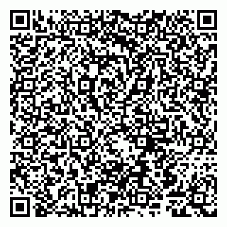 vCard 79807240281