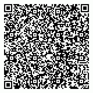 vCard 79807240293