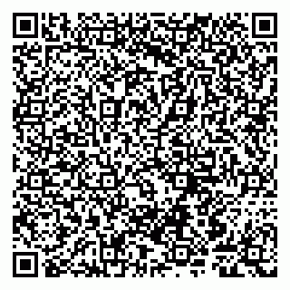 vCard 79807240295
