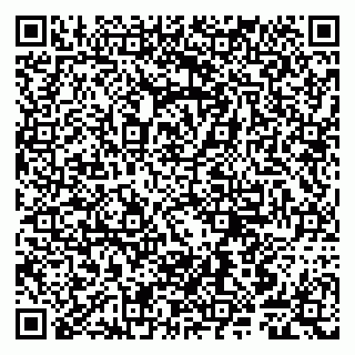 vCard 79807240297