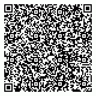 vCard 79807240304