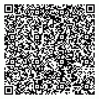 vCard 79807240317