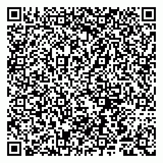 vCard 79807240319