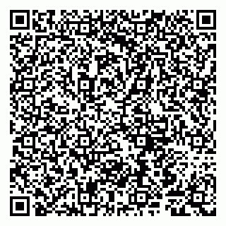 vCard 79807240327