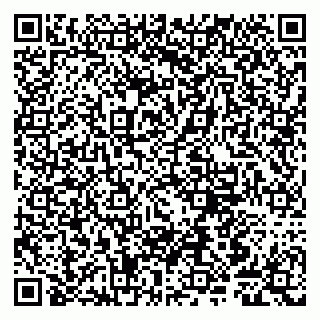 vCard 79807240329